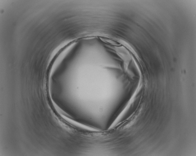 X0000074261149200609151755