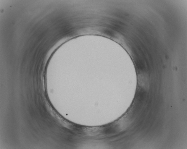 X0000074261150200609151755