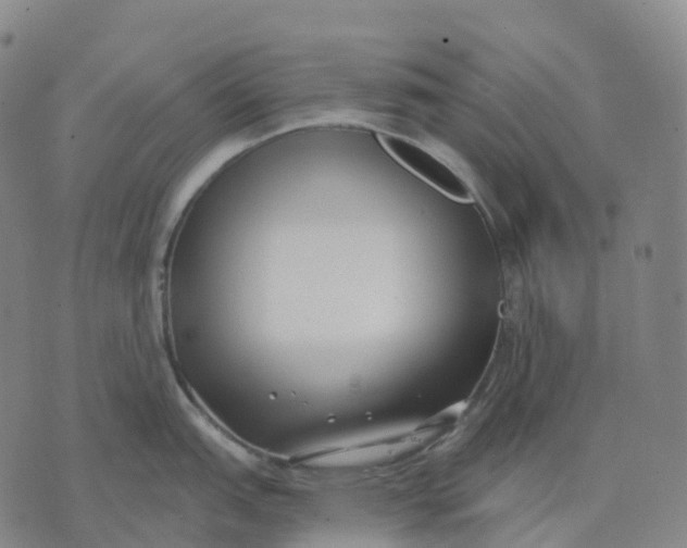 X0000074261151200609151755