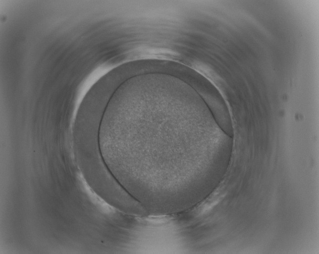 X0000074261152200609151755