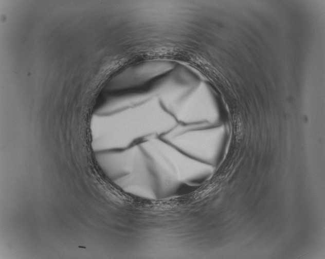 X0000074261153200609151754