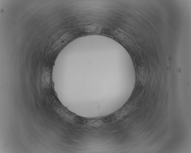 X0000074261154200609151754