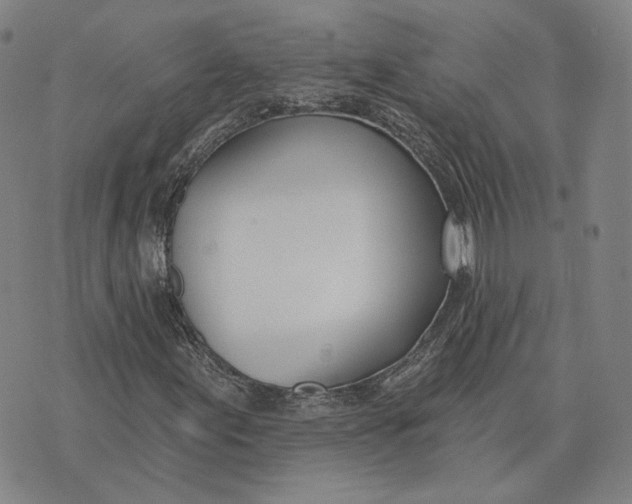 X0000074261155200609151754