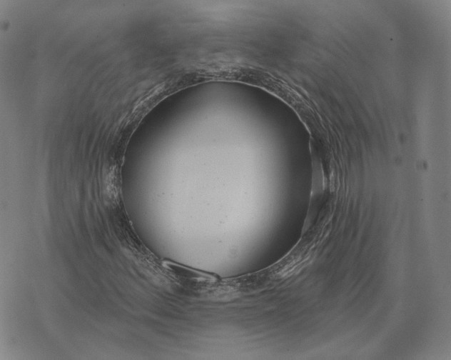 X0000074261156200609151754