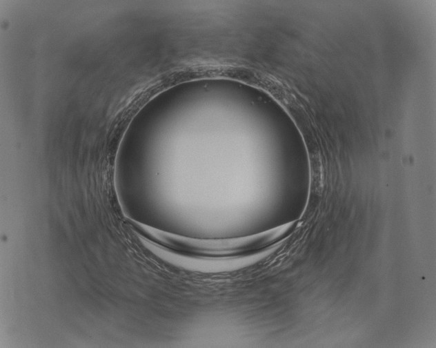 X0000074261157200609151754