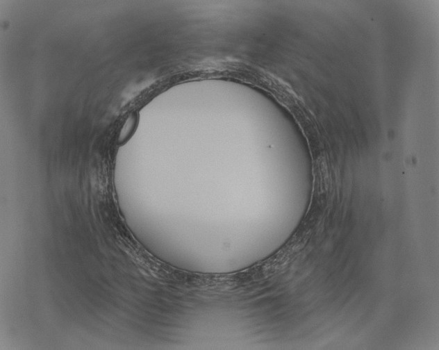 X0000074261158200609151754