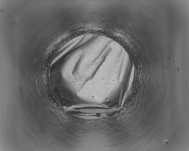 X0000074261159200609151754