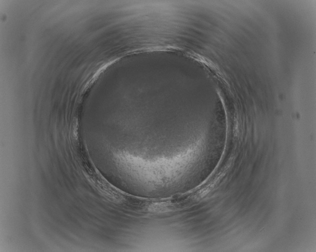 X0000074261161200609151754