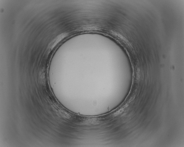 X0000074261162200609151754