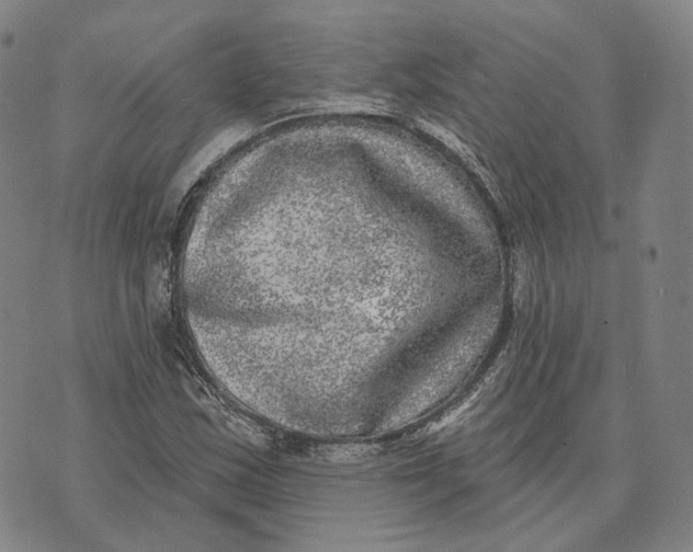 X0000074261163200609151754