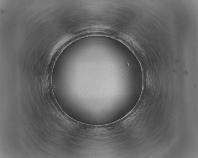 X0000074261164200609151754