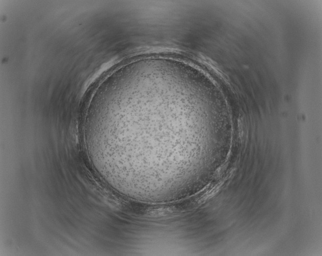 X0000074261165200609151754