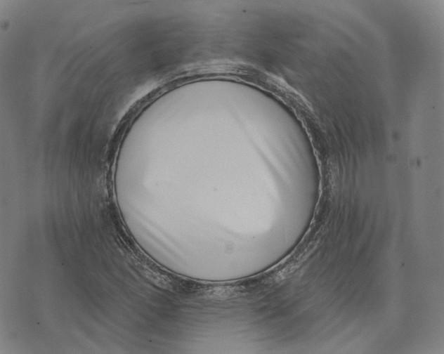 X0000074261166200609151754