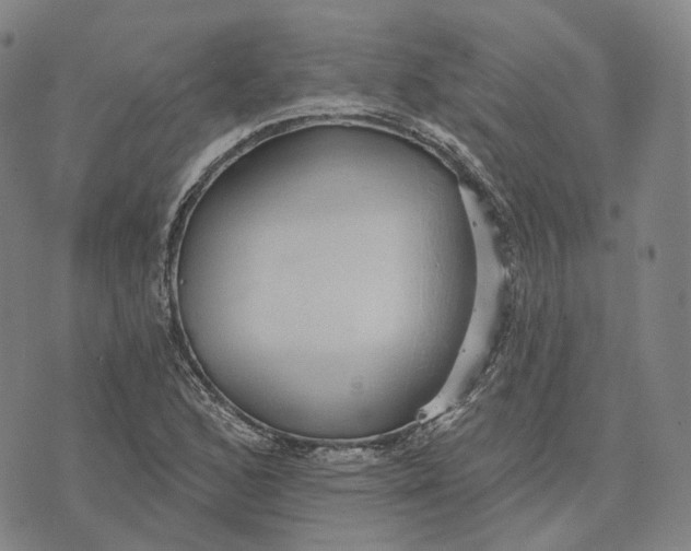 X0000074261168200609151754