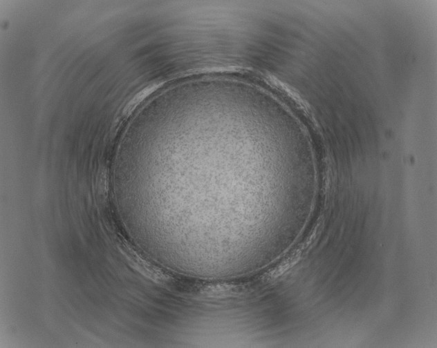 X0000074261169200609151754