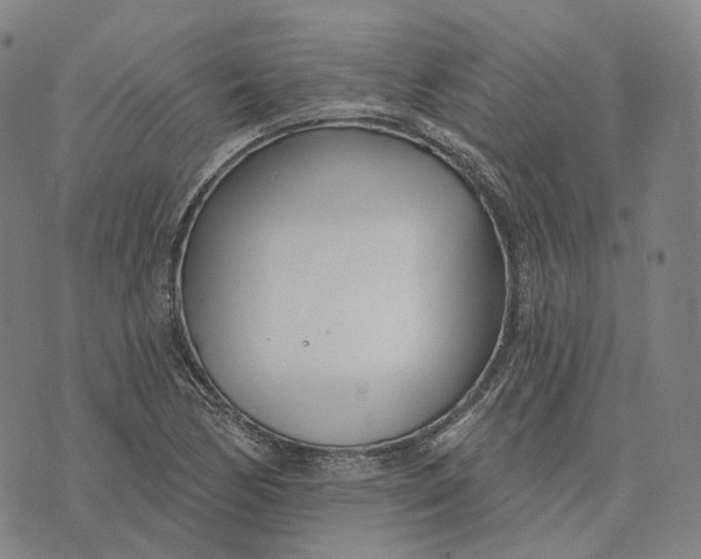 X0000074261170200609151754