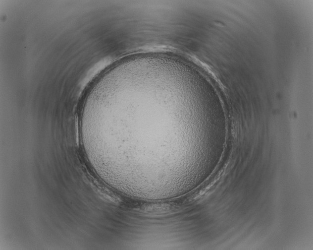 X0000074261171200609151754