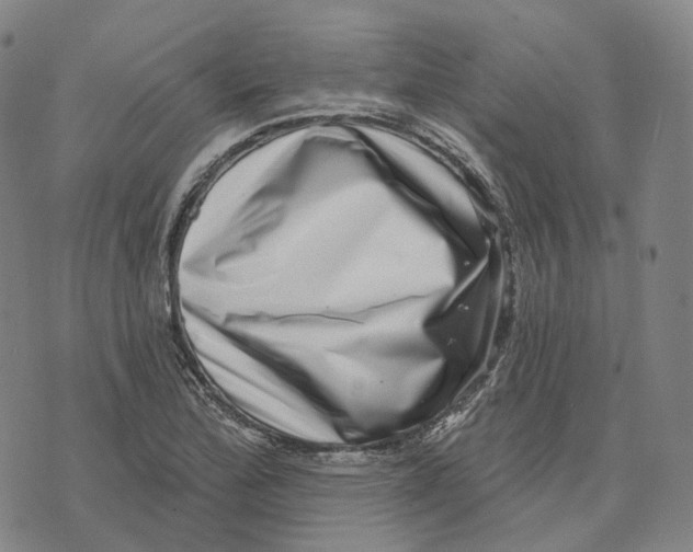 X0000074261172200609151754