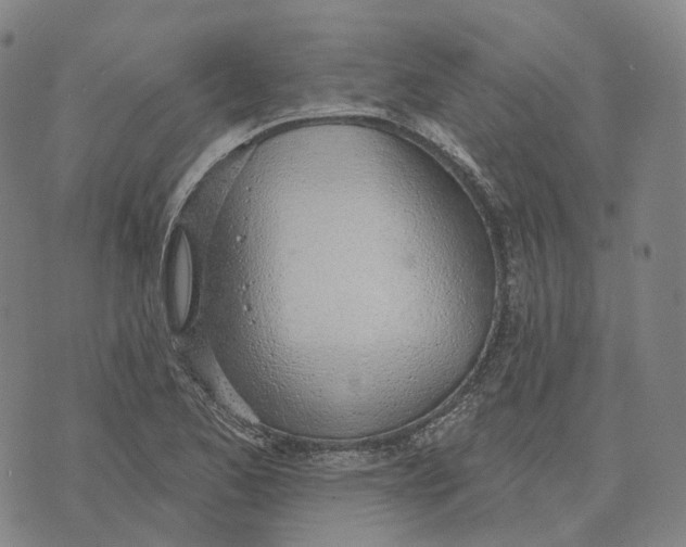 X0000074261173200609151754