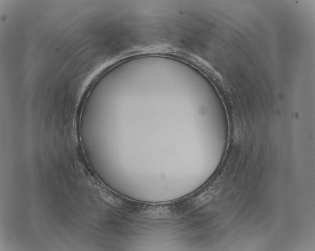 X0000074261174200609151754