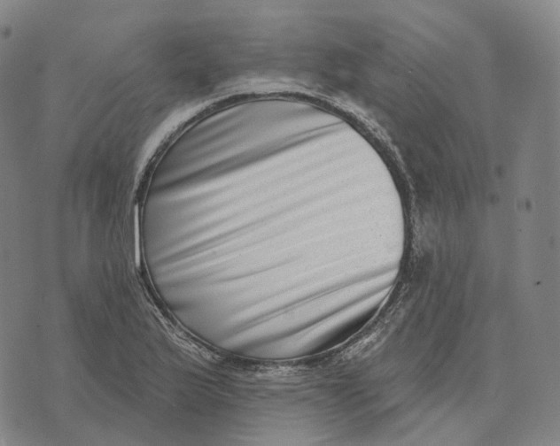 X0000074261175200609151754