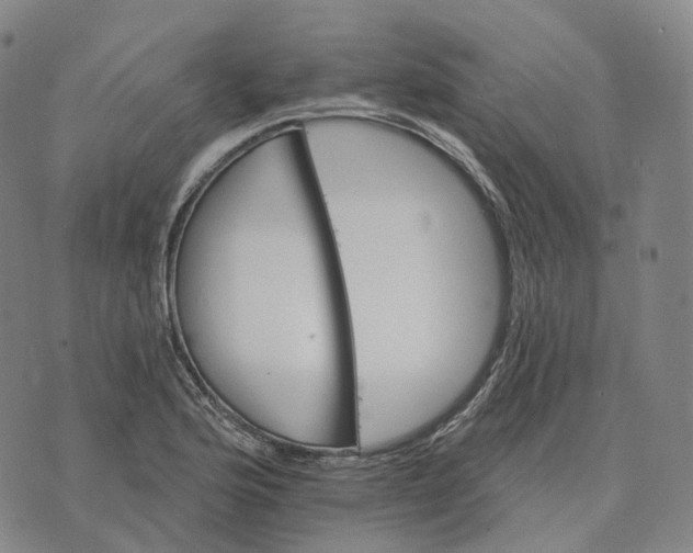 X0000074261176200609151754