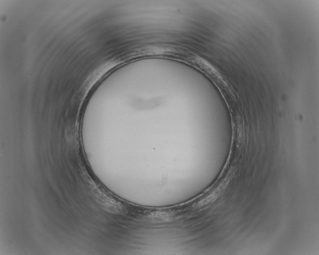 X0000074261178200609151754