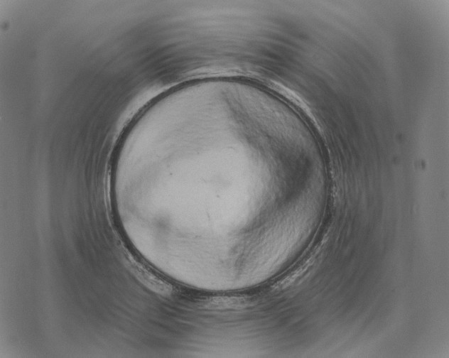 X0000074261179200609151754