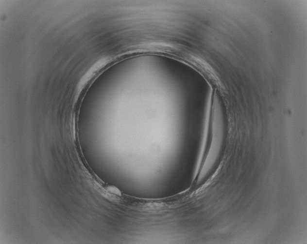 X0000074261180200609151754