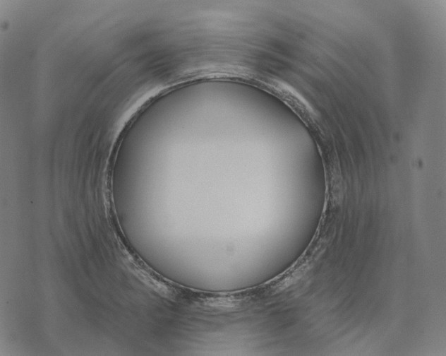 X0000074261182200609151754