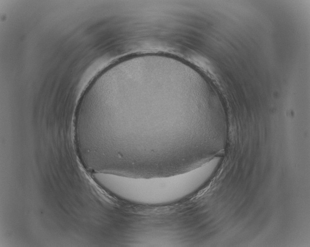 X0000074261183200609151754