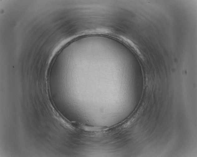 X0000074261184200609151754