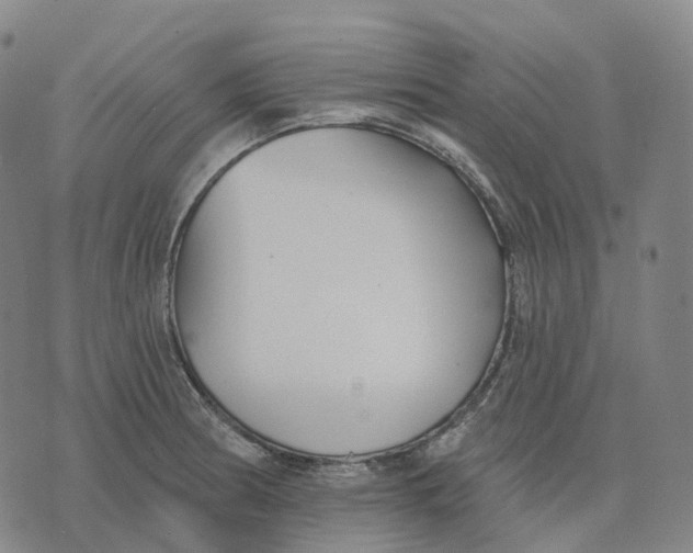 X0000074261186200609151754