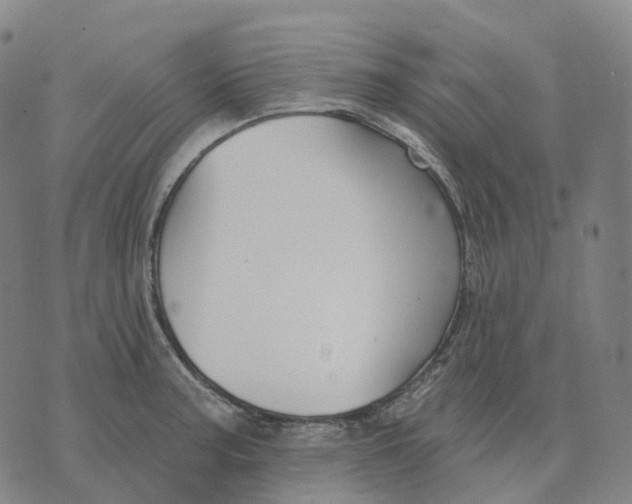 X0000074261187200609151754