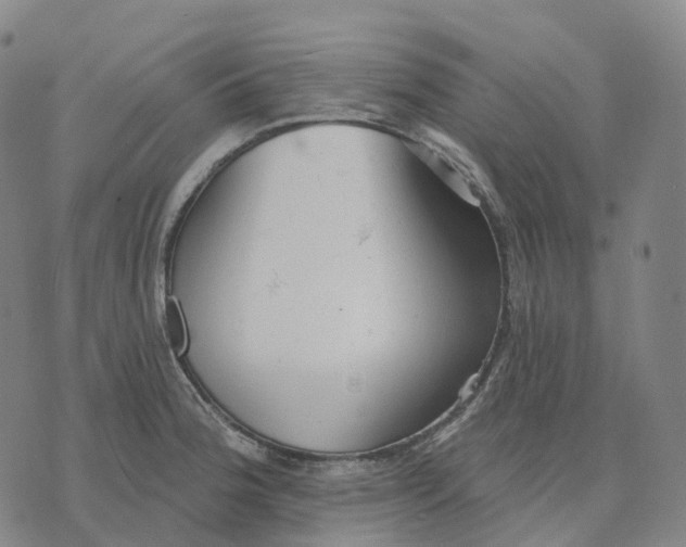 X0000074261188200609151754