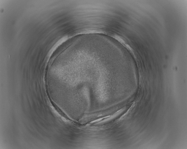 X0000074261189200609151753