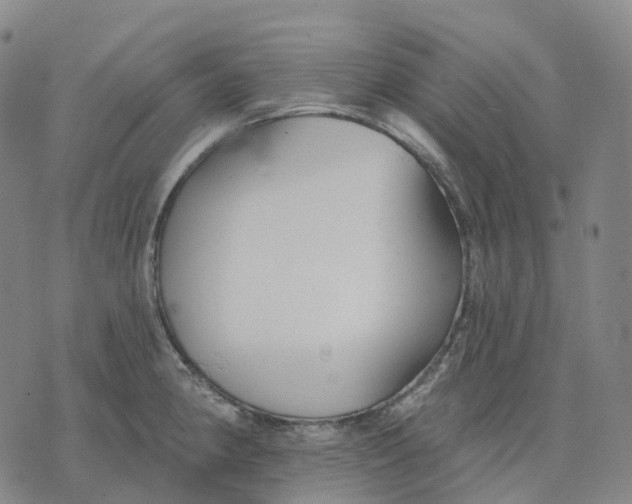 X0000074261190200609151753