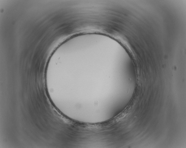 X0000074261191200609151753