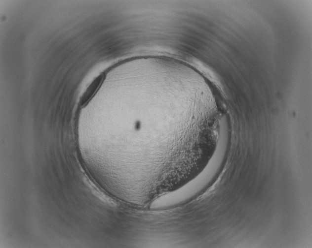 X0000074261192200609151753