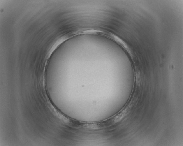 X0000074261194200609151753