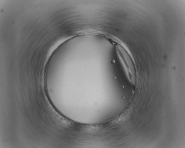 X0000074261195200609151753