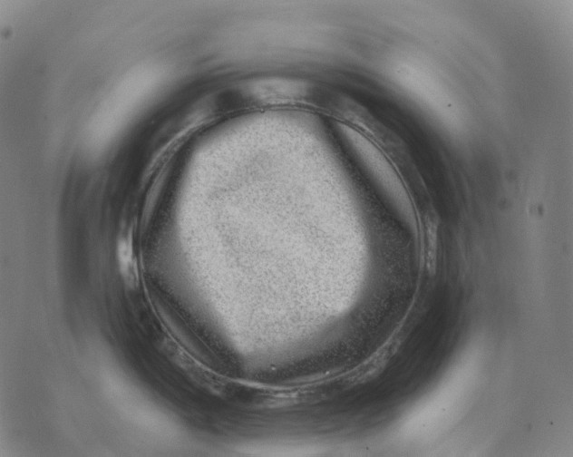 X0000074261198200609151753