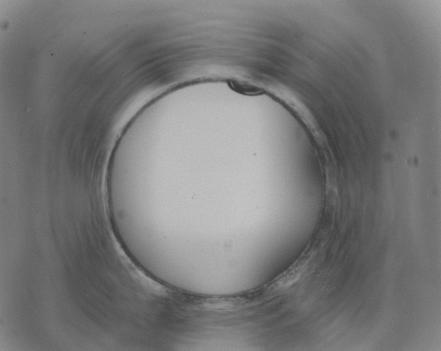 X0000074261199200609151753