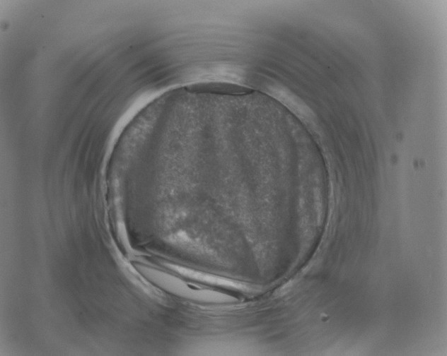 X0000074261200200609151753