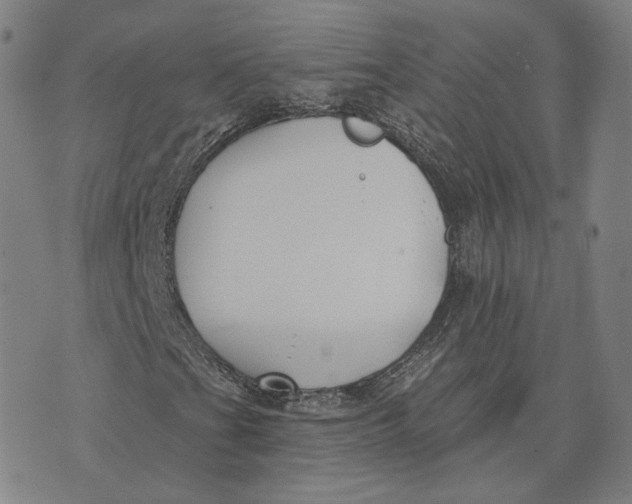 X0000074261201200609151753