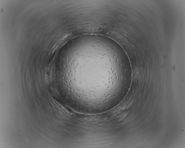 X0000074261202200609151753