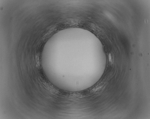 X0000074261203200609151753