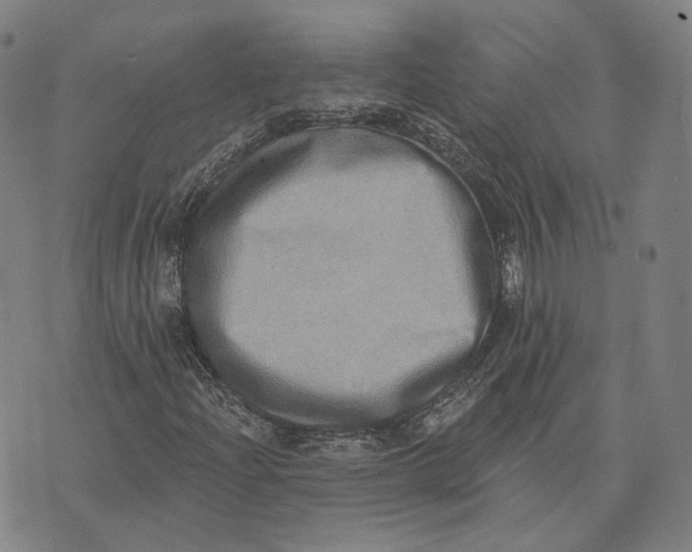 X0000074261204200609151753