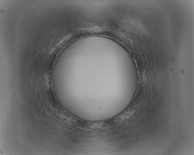 X0000074261205200609151753