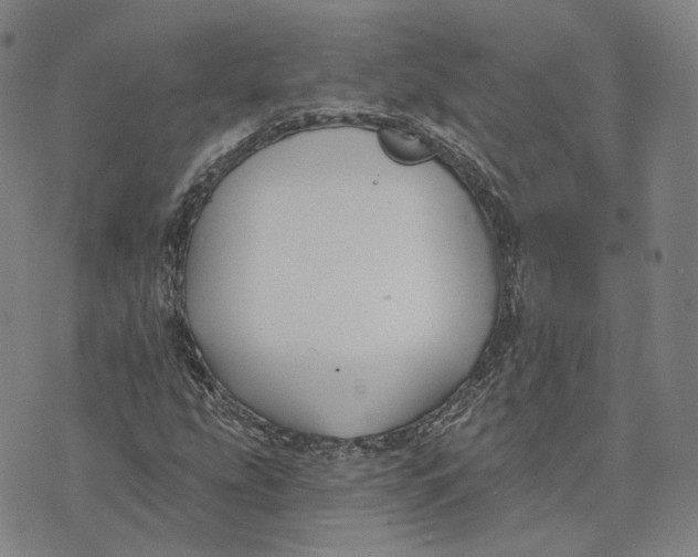 X0000074261207200609151753